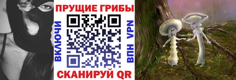 ссылка на мегу зеркало Ахтырский Галлюциногенные грибы Cubensis купить наркотики цена